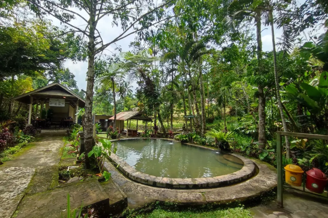 Circular stone-edged pond in a tropical garden with palm trees and a small pavilion in the background.