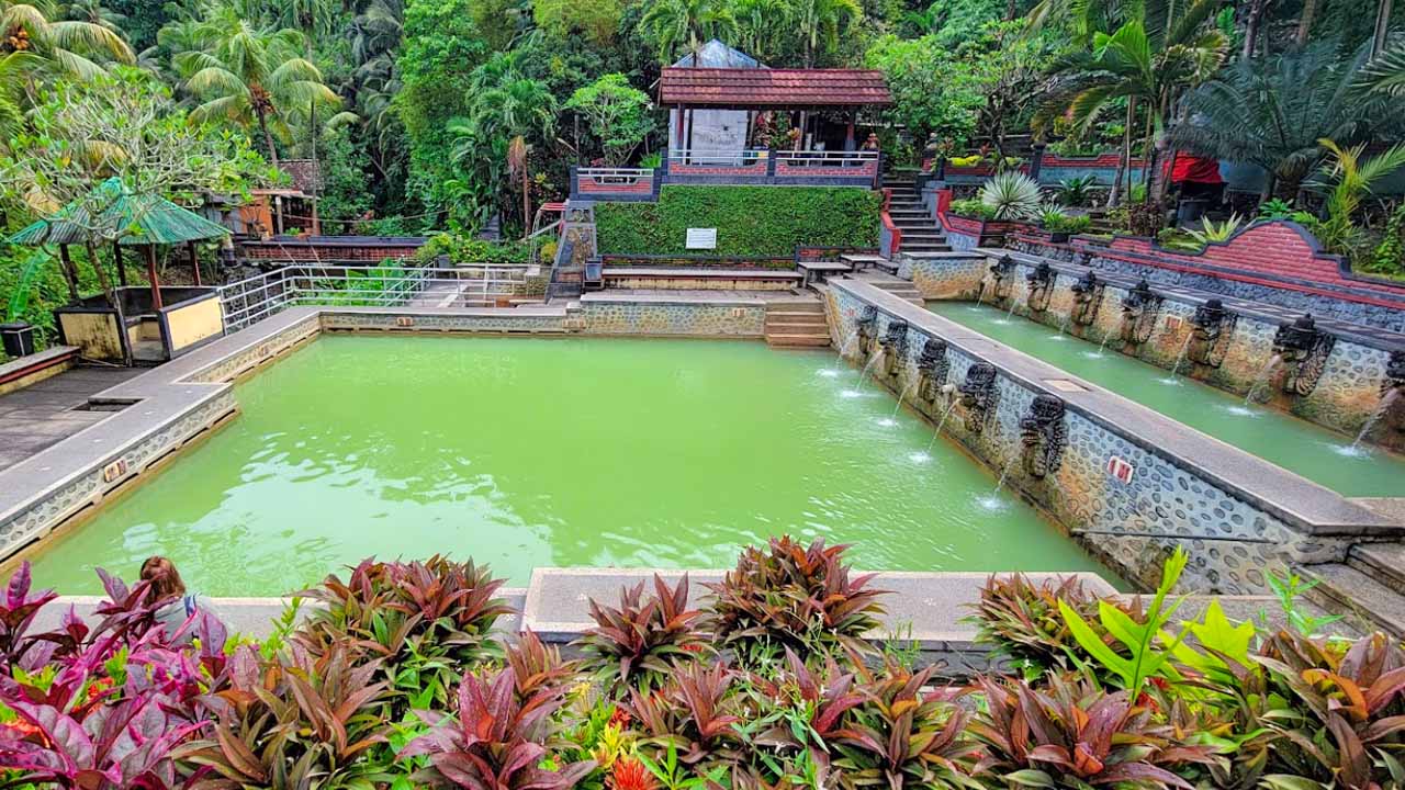 Tropical garden with a rectangular pool of green water, stone walkway, and a raised pavilion behind a fountain-lined wall.