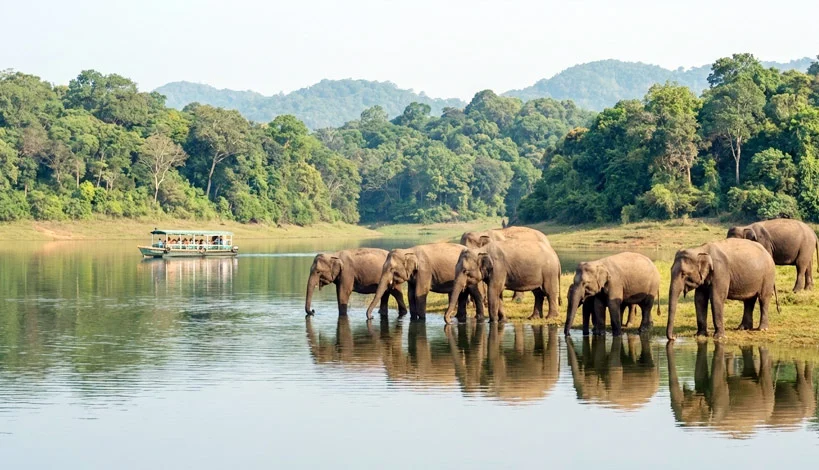 A herd of elephants drinking at a lakeshore with a boat nearby and forested hills in the background.
