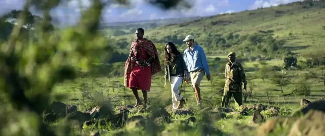 Five people walk together across a rocky, grassy countryside with rolling hills in the background, on a sunny day.