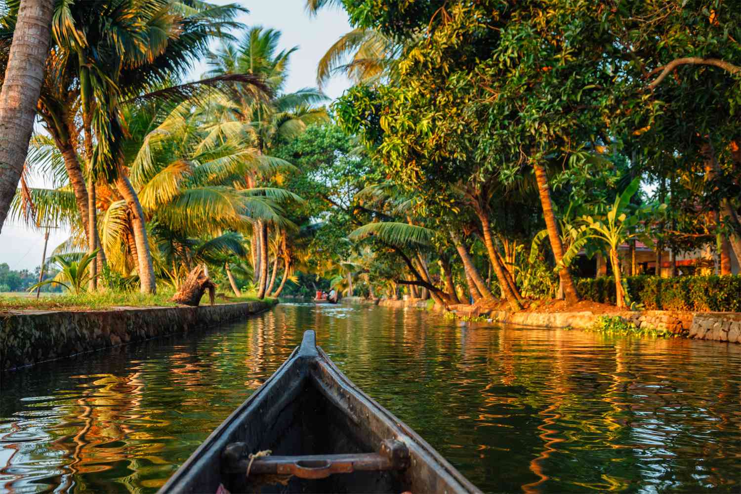 Front of a narrow boat gliding along a tropical canal lined with palm trees and sunlit greenery on both banks.