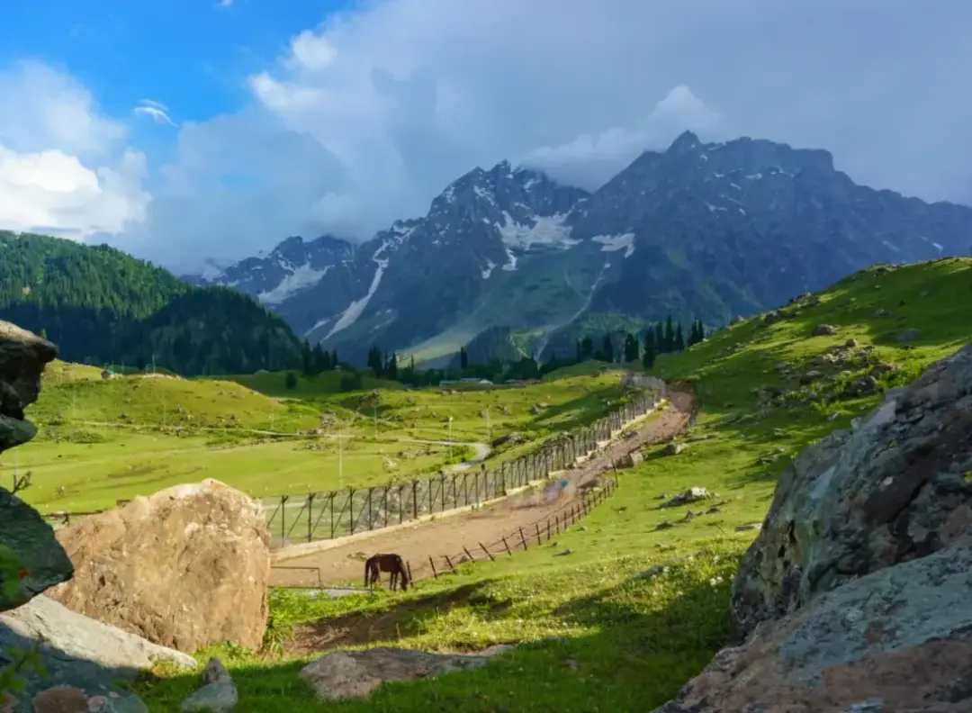 Green valley with a dirt path and wooden fence leading toward towering snow-capped mountains under a cloudy sky; a horse grazes by the fence.