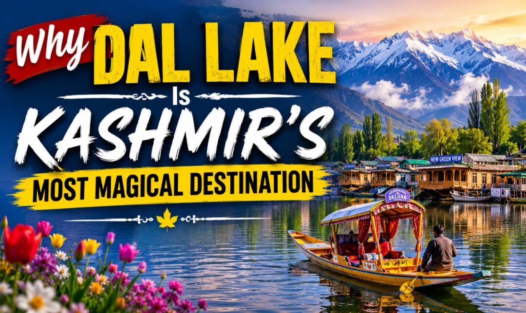 Why Dal Lake Is Kashmir's Most Magical Destination › Forever Tourism LLC Promotional banner for Dal Lake, Kashmir, showing a boat on the lake with mountains and flowers, and the headline 'Why Dal Lake is Kashmir's Most Magical Destination'.