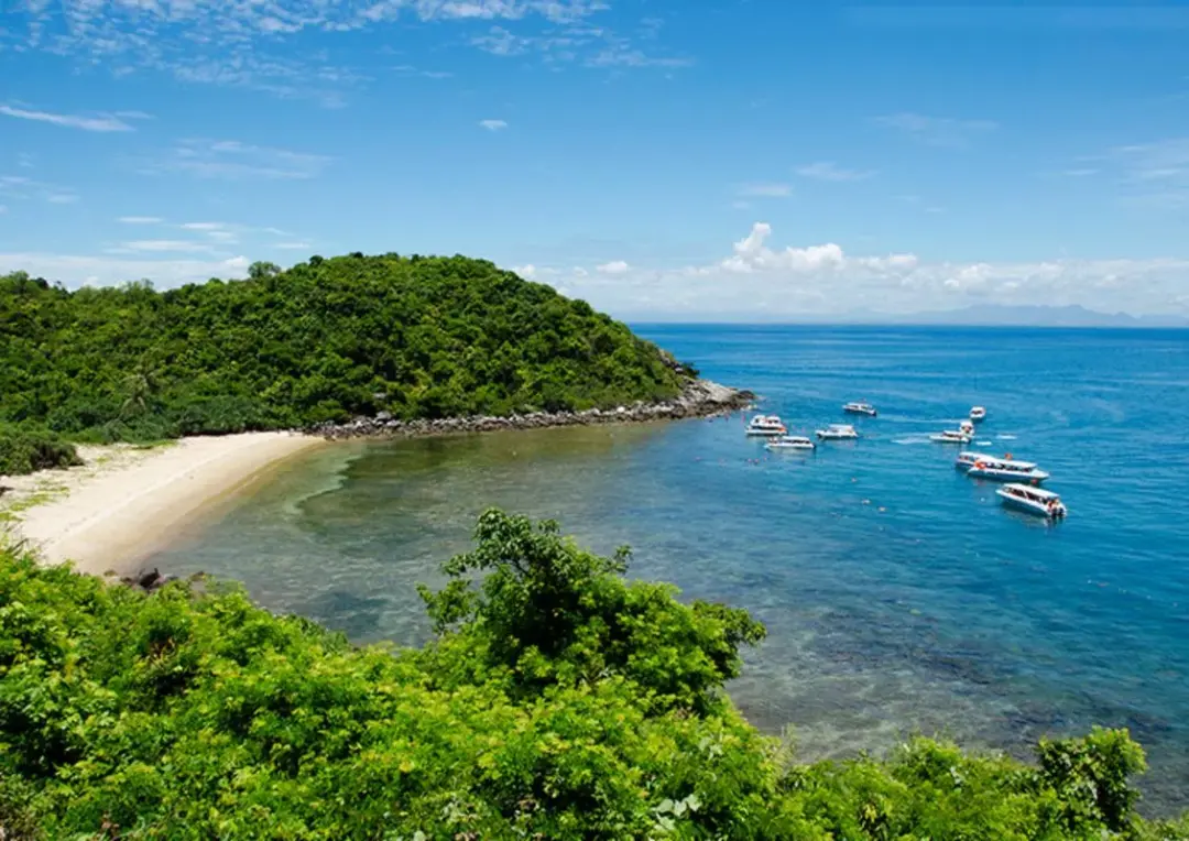 Tropical cove with a sandy beach, green hill, and several small boats anchored in calm blue water.