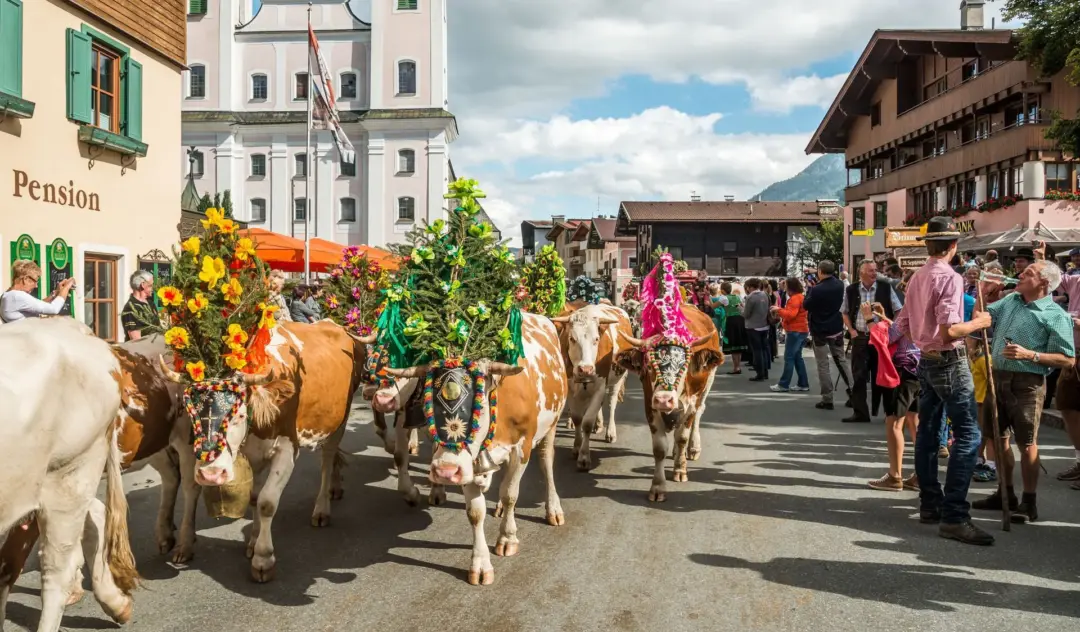 Cows adorned with colorful flower headdresses walk down a sunny village street as spectators watch a festival.