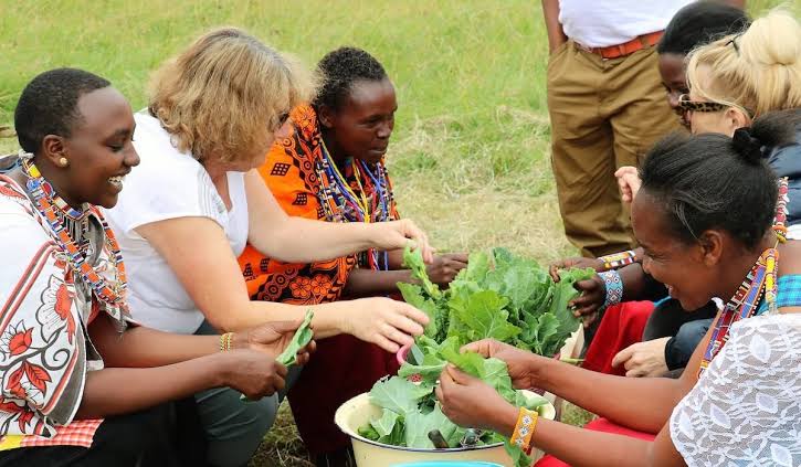 Group of people sitting in a circle outdoors, sorting and picking leafy greens into a bucket for a communal harvest or cooking project.