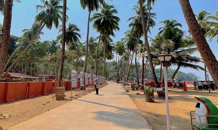 Palm-lined seaside promenade with a wide brick path, tall palm trees, and small shops along the sides; people strolling in the distance.