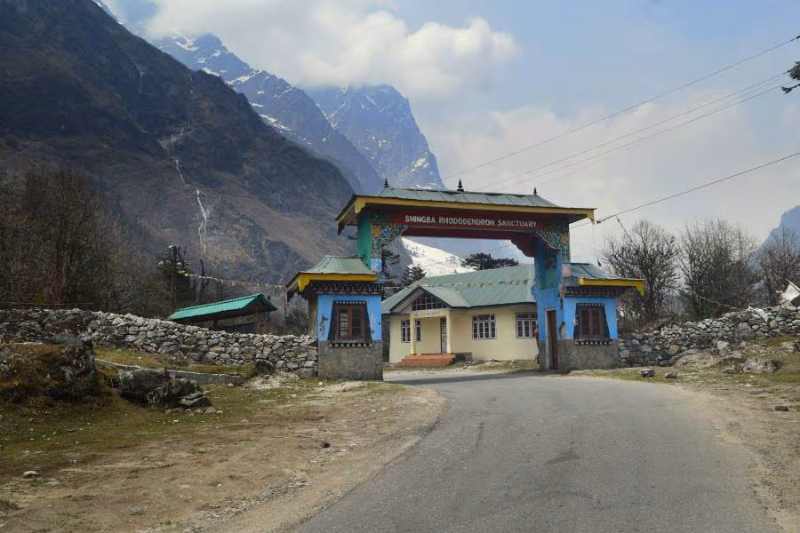 Entrance gate to Shingba Rhododendron Sanctuary with blue and yellow arches, along a rural road, stone walls, and snow-capped mountains in the background.