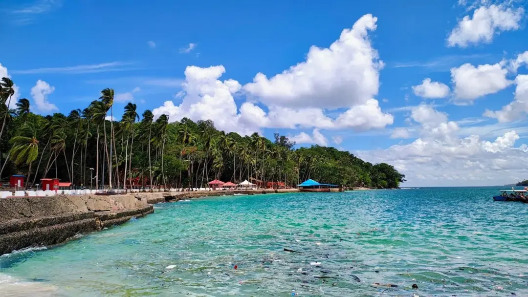 Tropical beach with turquoise water, palm-lined shore, and small red huts along a rocky breakwater under a blue sky with clouds