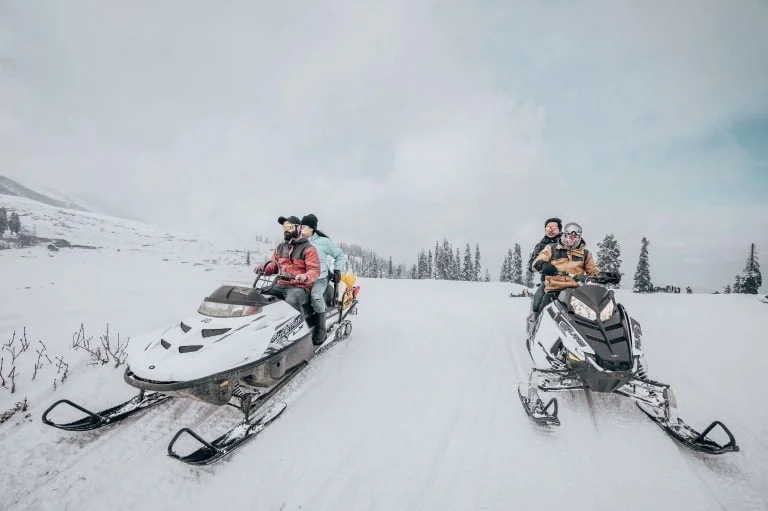 Two snowmobiles with riders in winter gear on a snowy field, with pine trees in the distance under a cloudy sky.