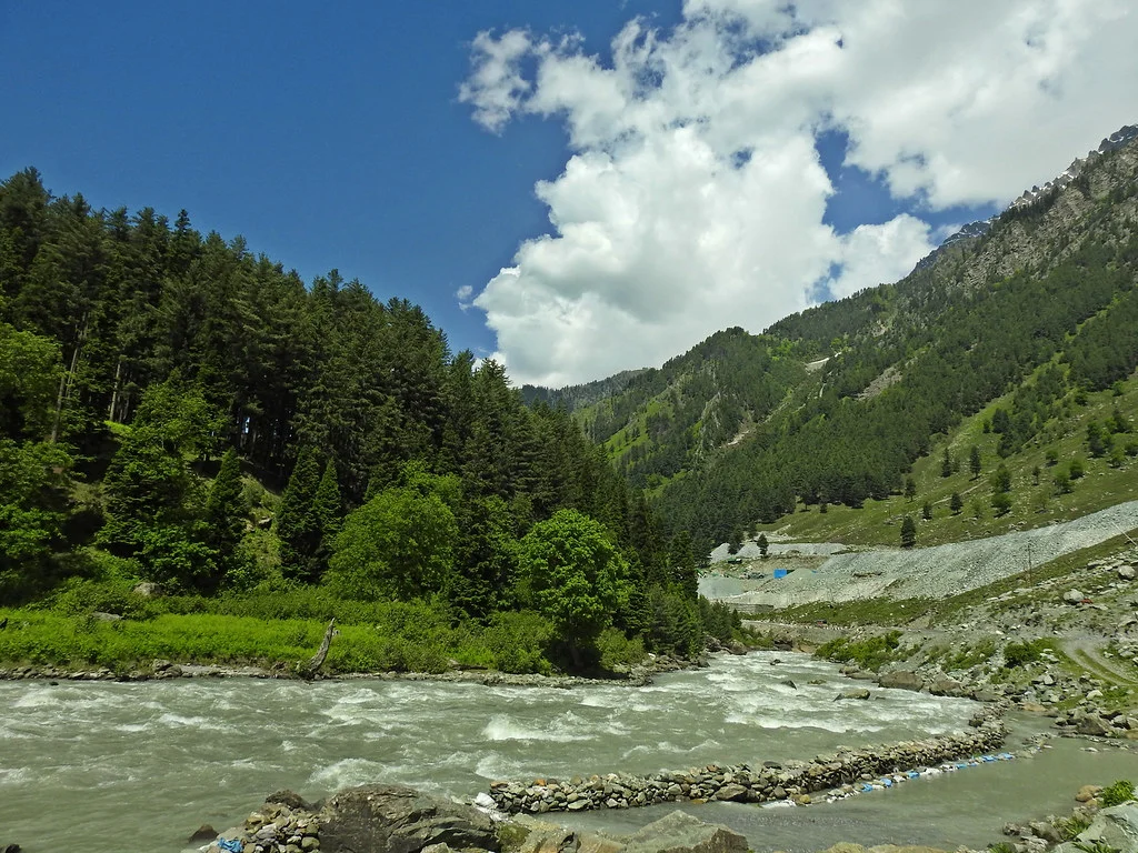 Rushing river winds through a lush green valley with dense evergreen forest on the left and rocky hills on the right under a bright blue sky with white clouds.