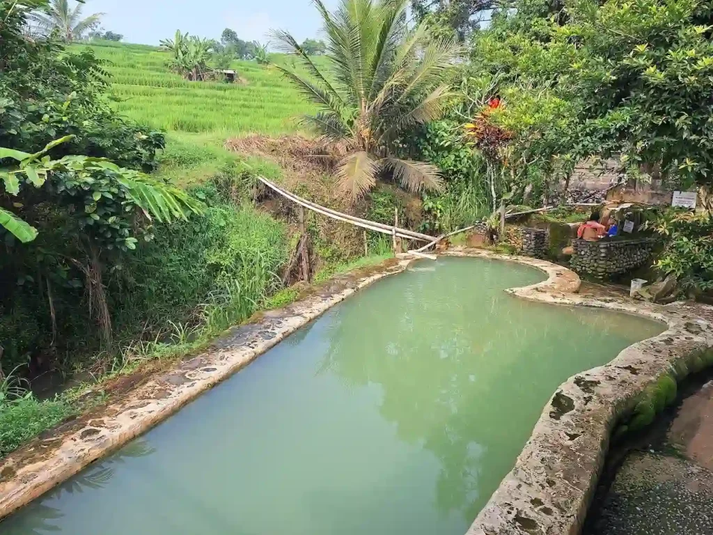 Curved stone pool with green water in a tropical garden, palm trees and rice fields in the background; two people sit by a stone wall on the right.